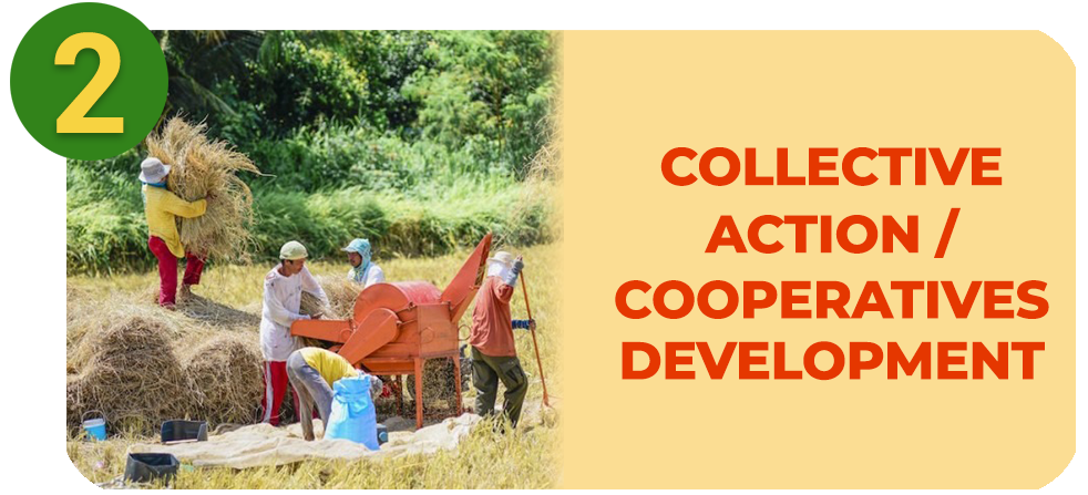 Collective Action / Cooperatives Development