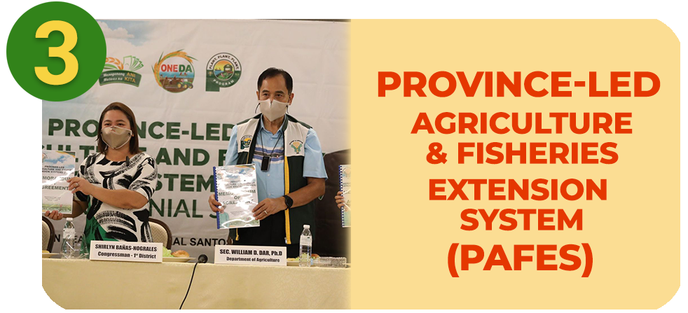 Province-led Agriculture and Fisheries Extension Systems (PAFES)