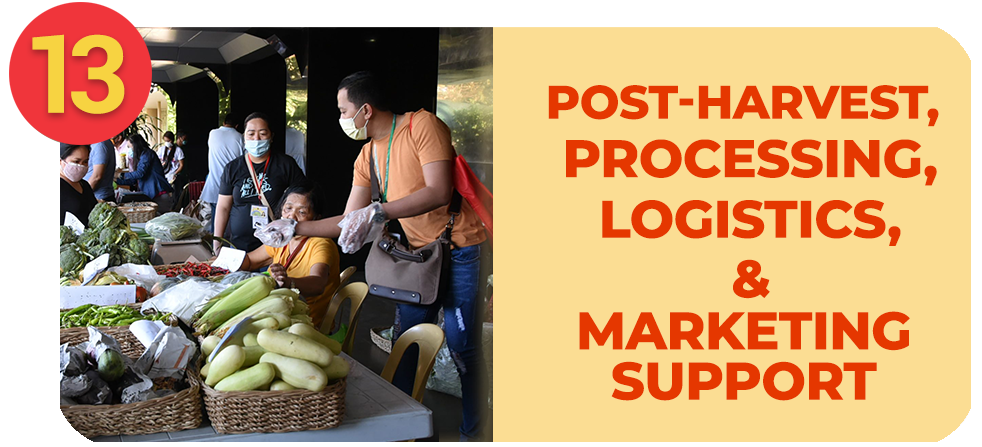 Postharvest, Processing, Logistics, and Marketing Support