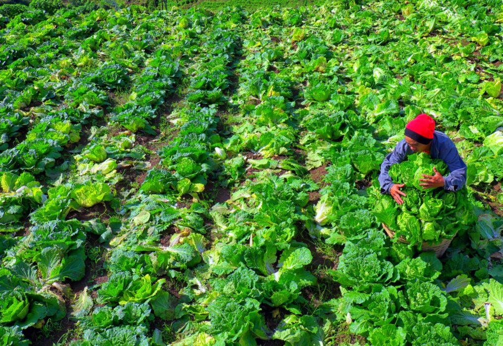 DA attributes P24B for climate-smart agri and food systems in 2022