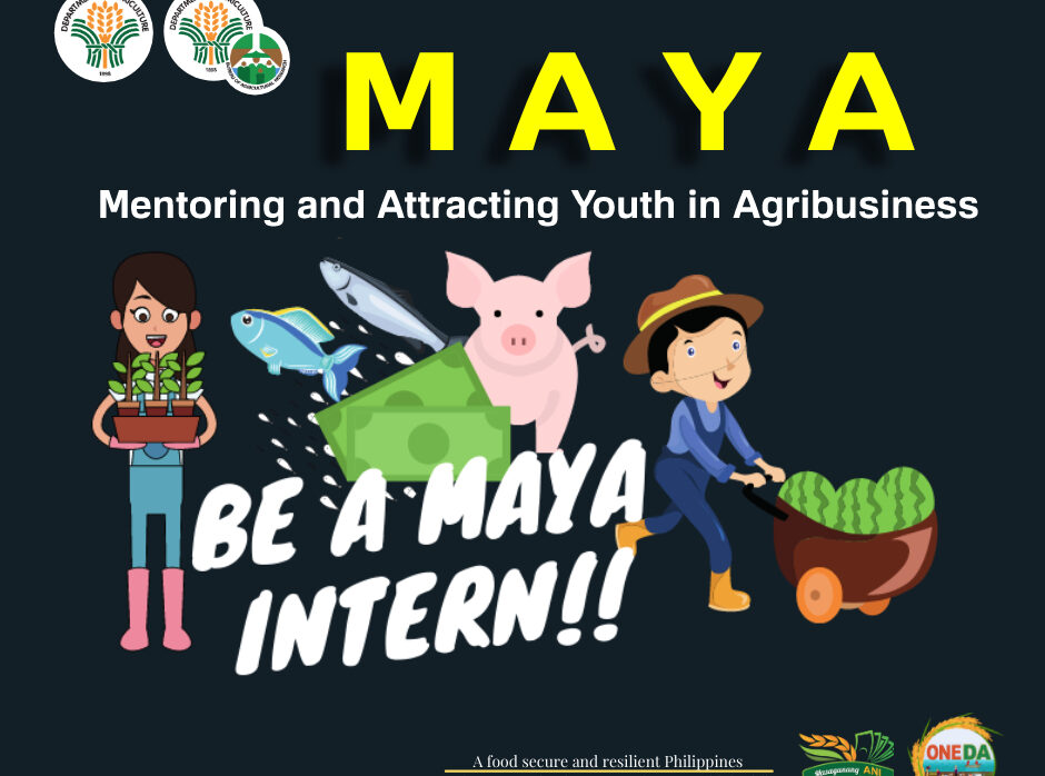 Thousands apply for youth agribiz mentorship program
