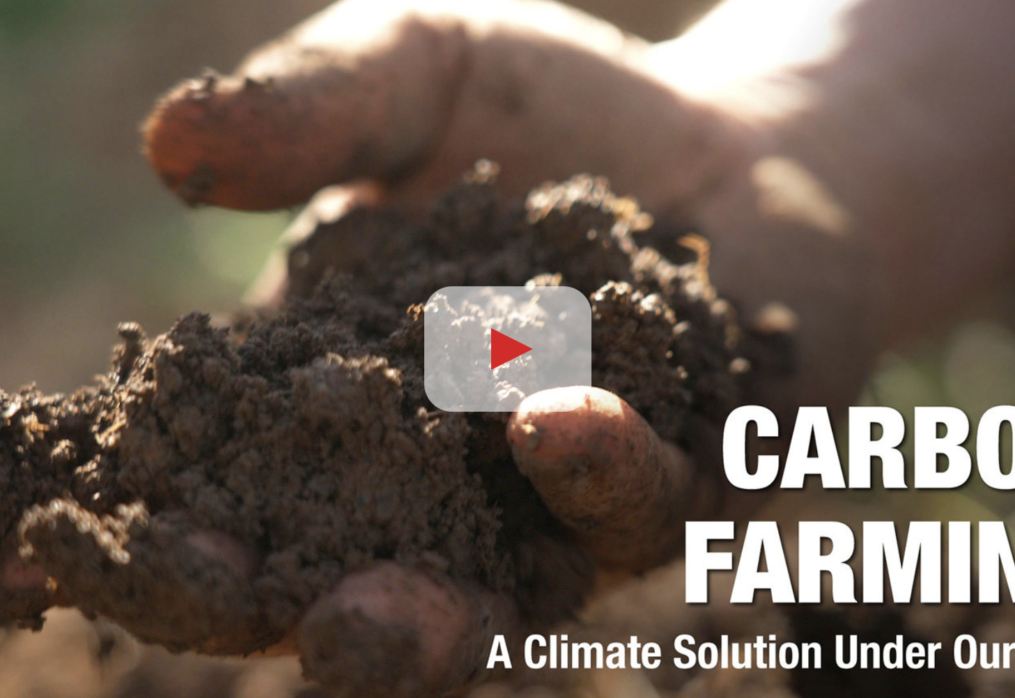 Carbon Farming: A Climate Solution Under Our Feet