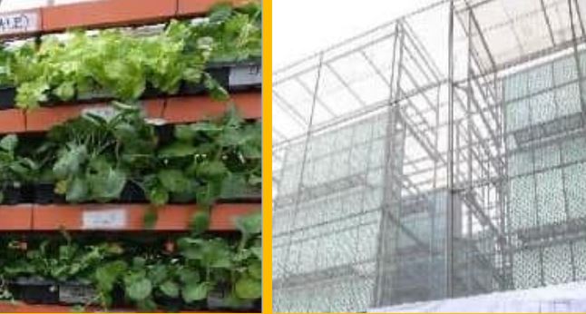 Metro Manila’s tallest vertical farm expands with new towers in Navotas