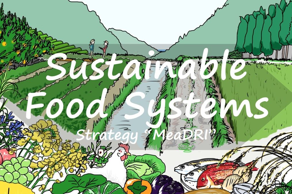 Strategy for Sustainable Food Systems, MeaDRI