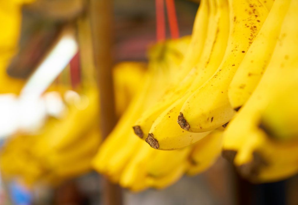 PBGEA official forecasts banana industry to stagnate