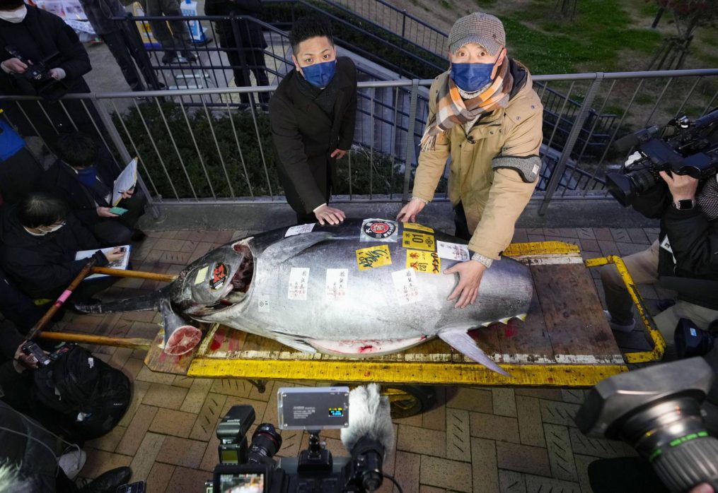 Bluefin tuna fetches ¥36 million at New Year’s auction in Tokyo