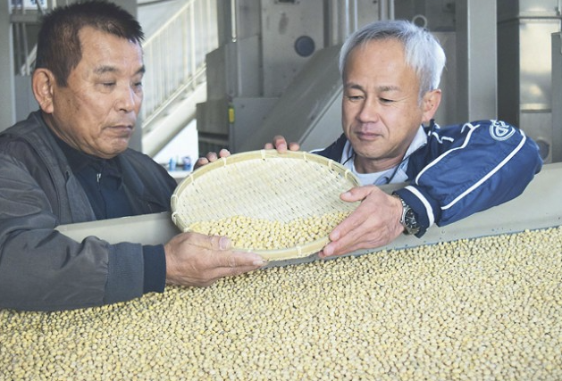 大豆「ちくしＢ５号」転換進む　収量、豆腐適性に注目　福岡