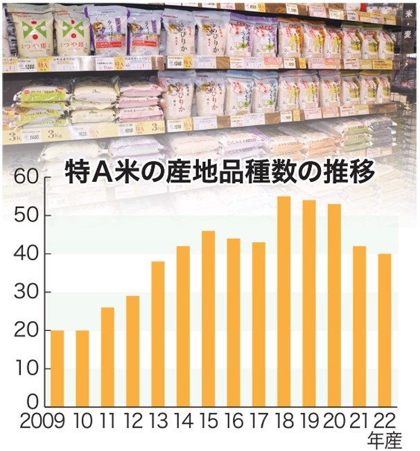米「特Ａ」減　猛暑響く　コシ苦戦、耐性品種躍進　２２年産食味ランク