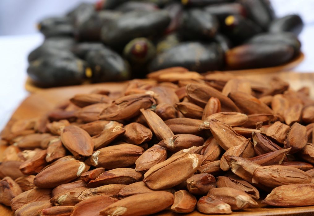 Philippines regains EU market access for pili nuts export